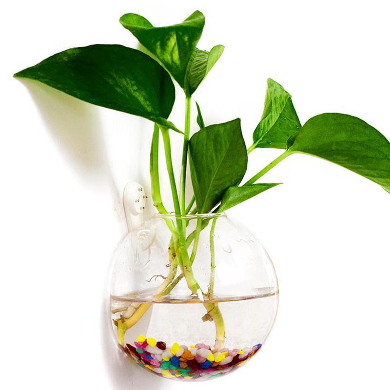 Aquarium Plant Gel - Creative Wall Mounted Glass Vase Fish