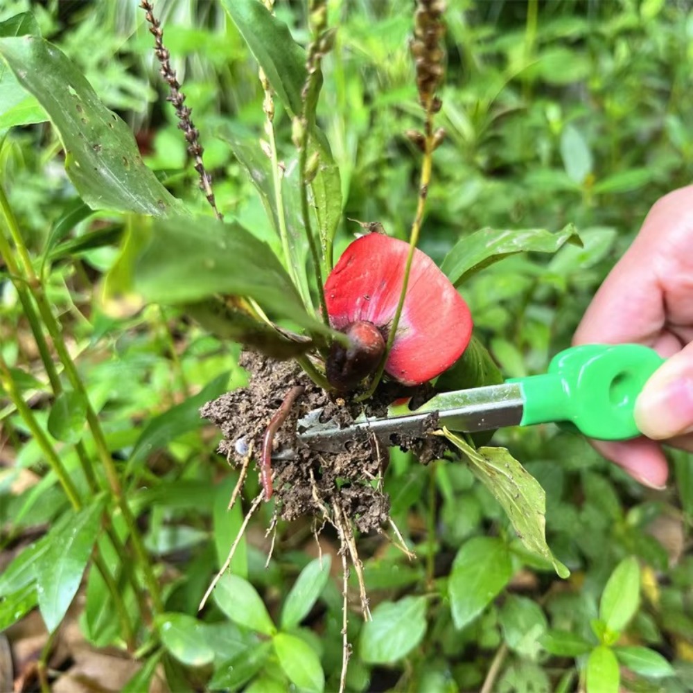 Planted Clip Tweezers - Outdoor Garden Weeding Clip Gardening Tweezers