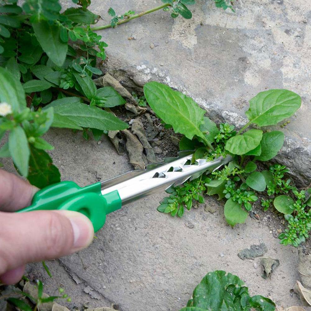Outdoor Garden Weeding Clip Ga - Planted Clip Tweezers recension och pris