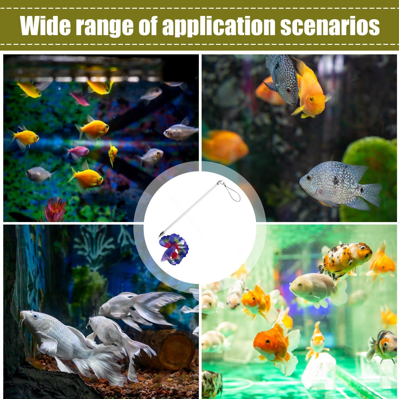 Betta Training Wand Interactiv - Planted Aquarium For Beginners recension och pris