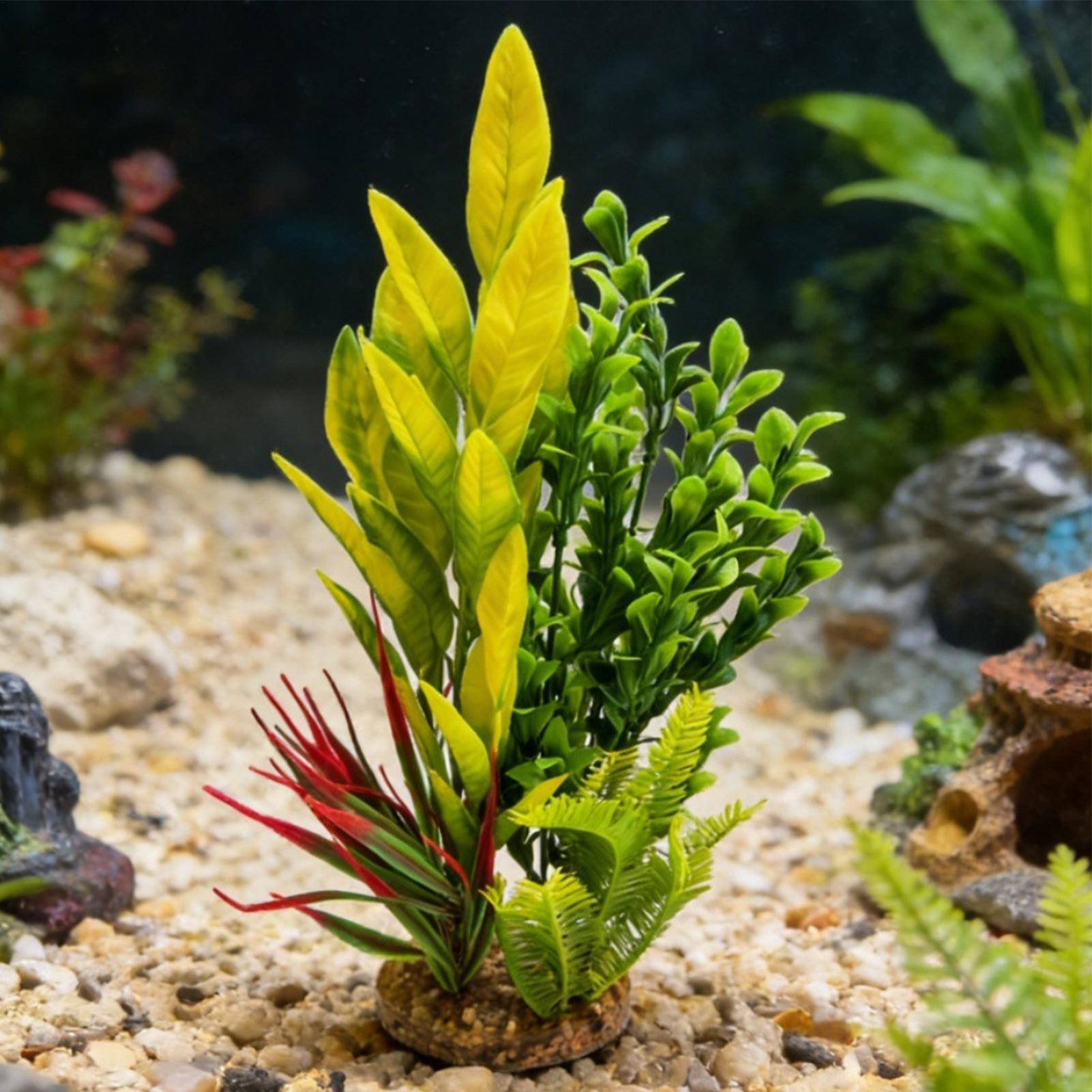 Fake Plants For Aquarium Shrim - Planted Aquarium For Beginners recension och pris