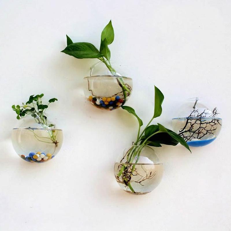 Creative Wall Mounted Glass Va - Aquarium Plant Gel recension och pris