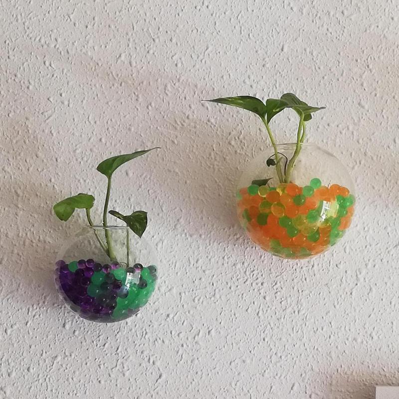 Creative Wall Mounted Glass Va - Aquarium Plant Gel recension och pris