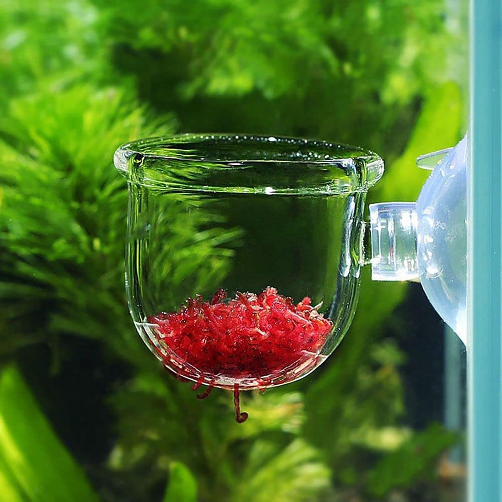 Plant Holder for Fish Tank Cle - Planted Aquarium Tools recension och pris