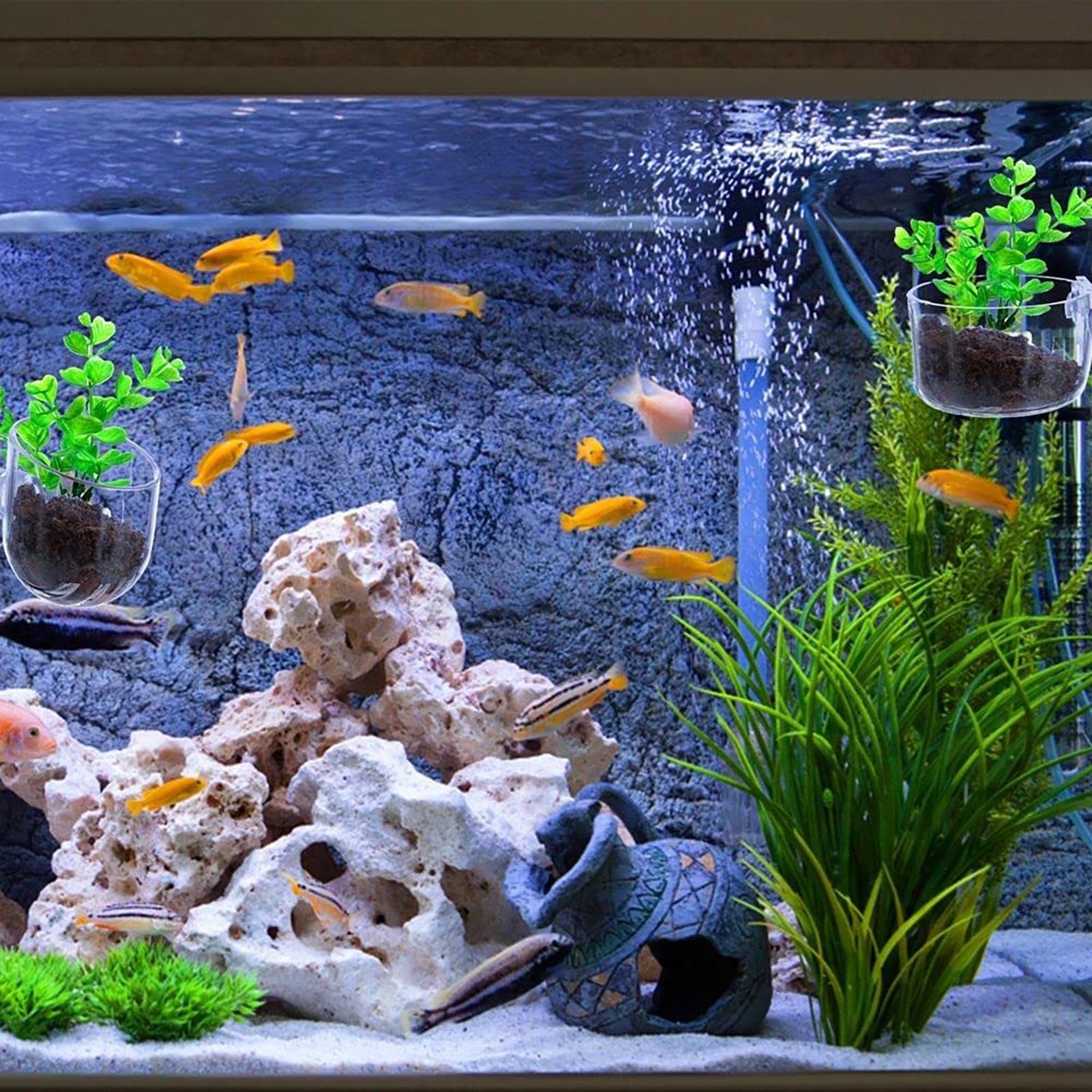 Plant Holder for Fish Tank Cle - Planted Aquarium Tools recension och pris