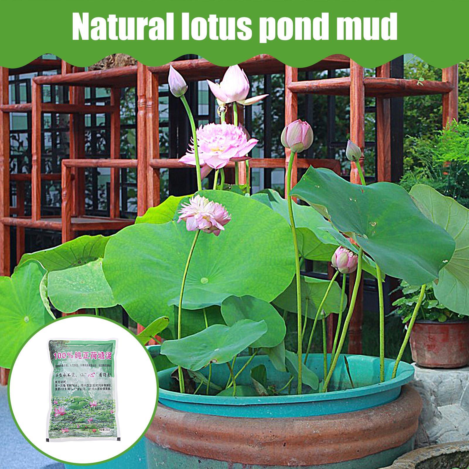 200g/bag Aquarium Soil Natural - Aquarium Plant Vitamins recension och pris
