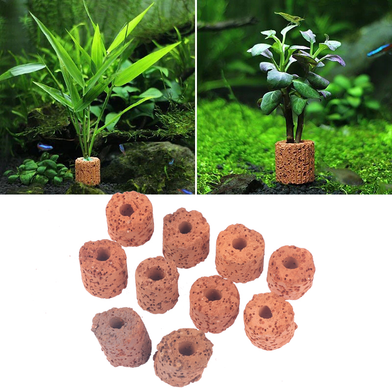 ^10Pcs Plant Ring Aquarium Fix - Planted Aquarium Tools recension och pris